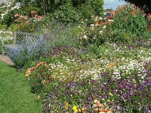 Flower border 